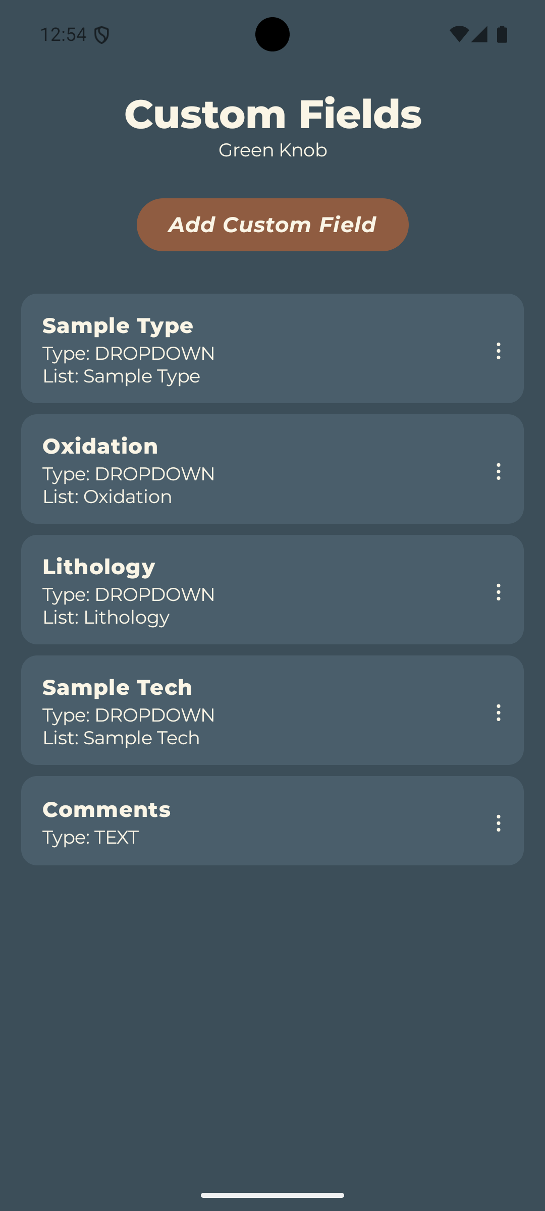Custom field manager